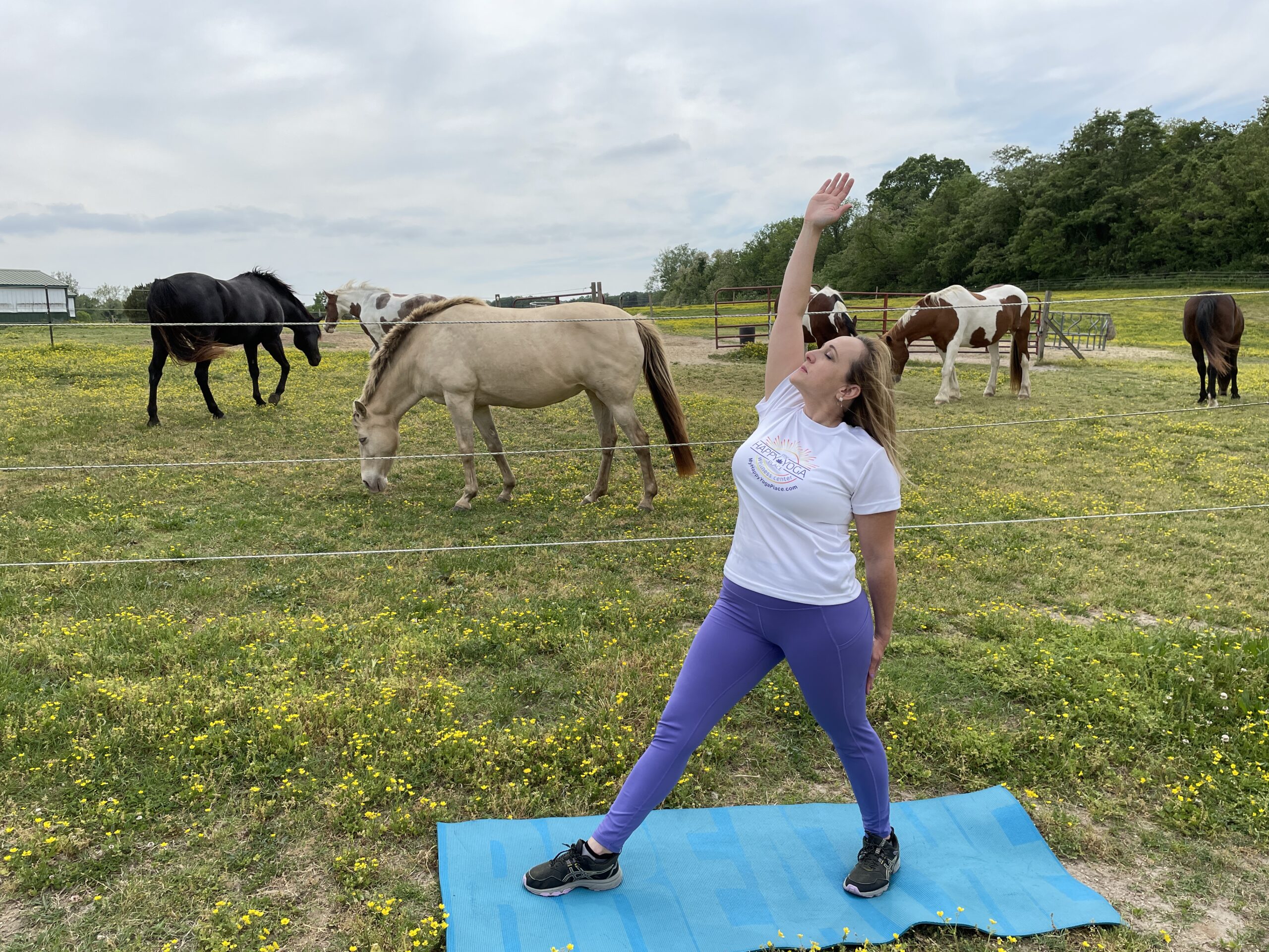 Read more about the article Experience Wellness and Yoga with Horses: Top Event in Southern Maryland